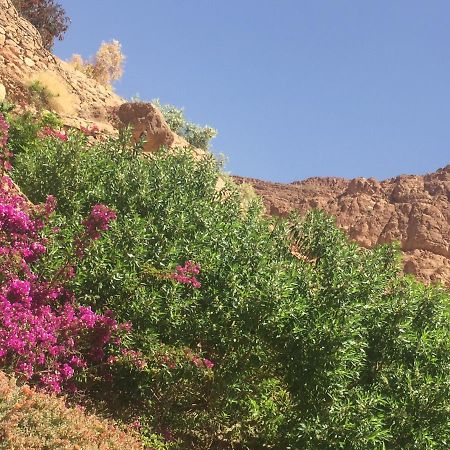 Auberge Le Festival Todra Gorge Aït Baha エクステリア 写真