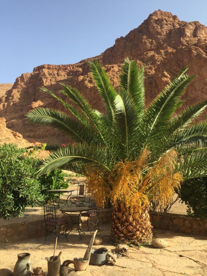 Auberge Le Festival Todra Gorge Aït Baha エクステリア 写真
