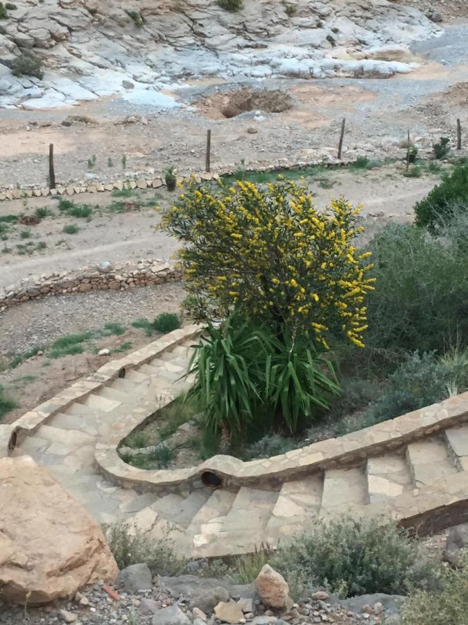 Auberge Le Festival Todra Gorge Aït Baha エクステリア 写真