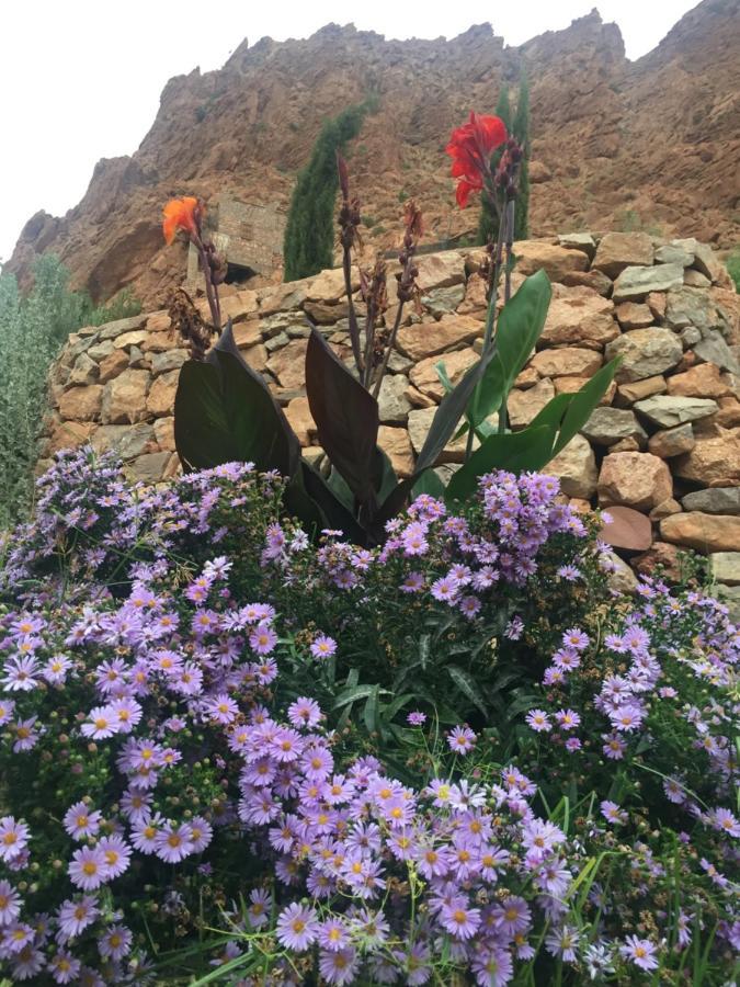 Auberge Le Festival Todra Gorge Aït Baha エクステリア 写真
