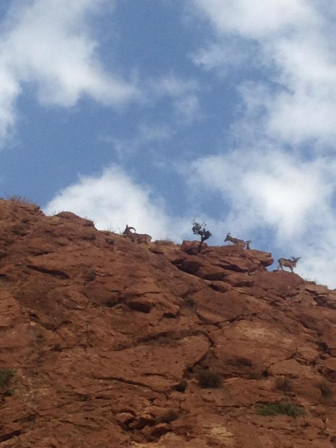 Auberge Le Festival Todra Gorge Aït Baha エクステリア 写真