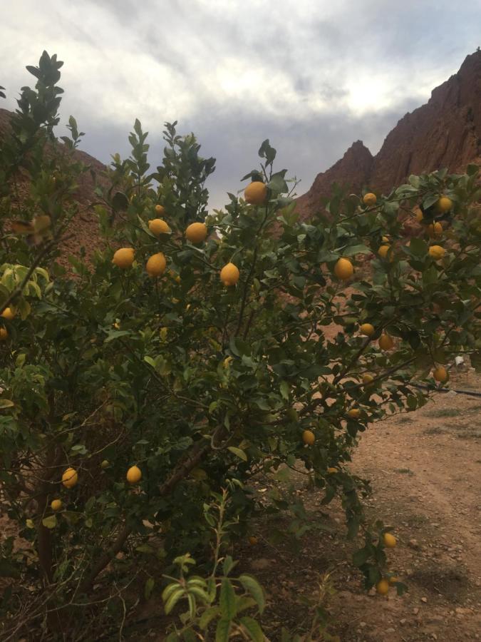 Auberge Le Festival Todra Gorge Aït Baha エクステリア 写真