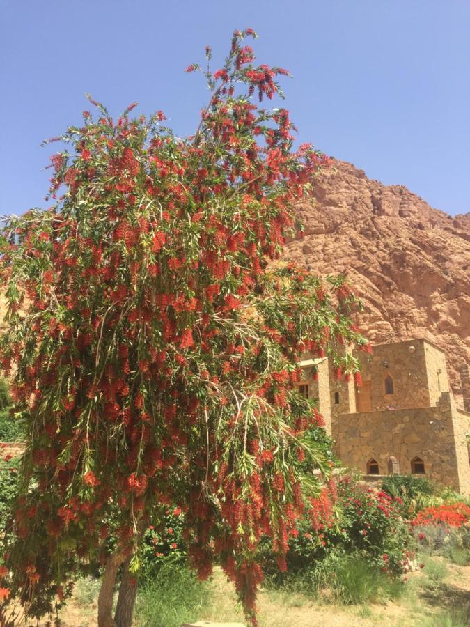 Auberge Le Festival Todra Gorge Aït Baha エクステリア 写真
