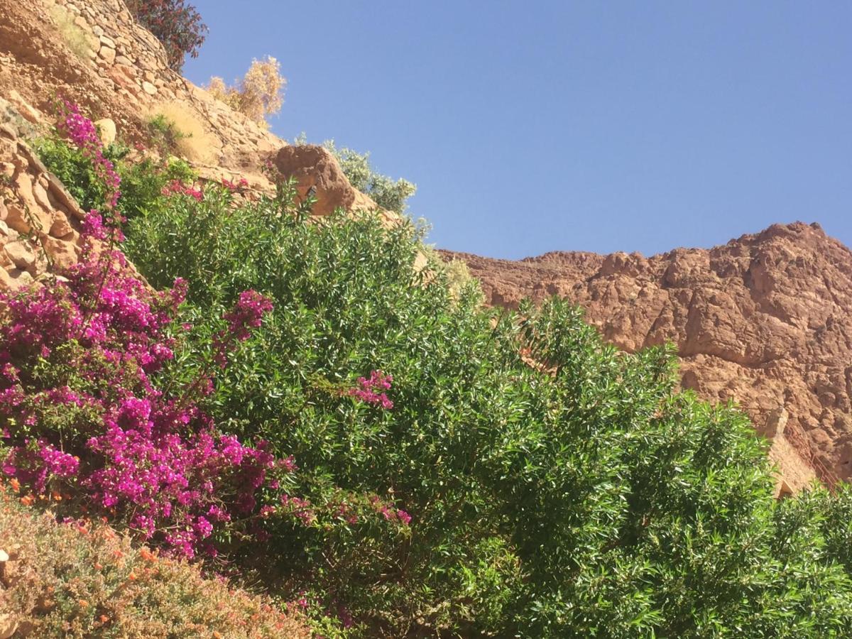 Auberge Le Festival Todra Gorge Aït Baha エクステリア 写真