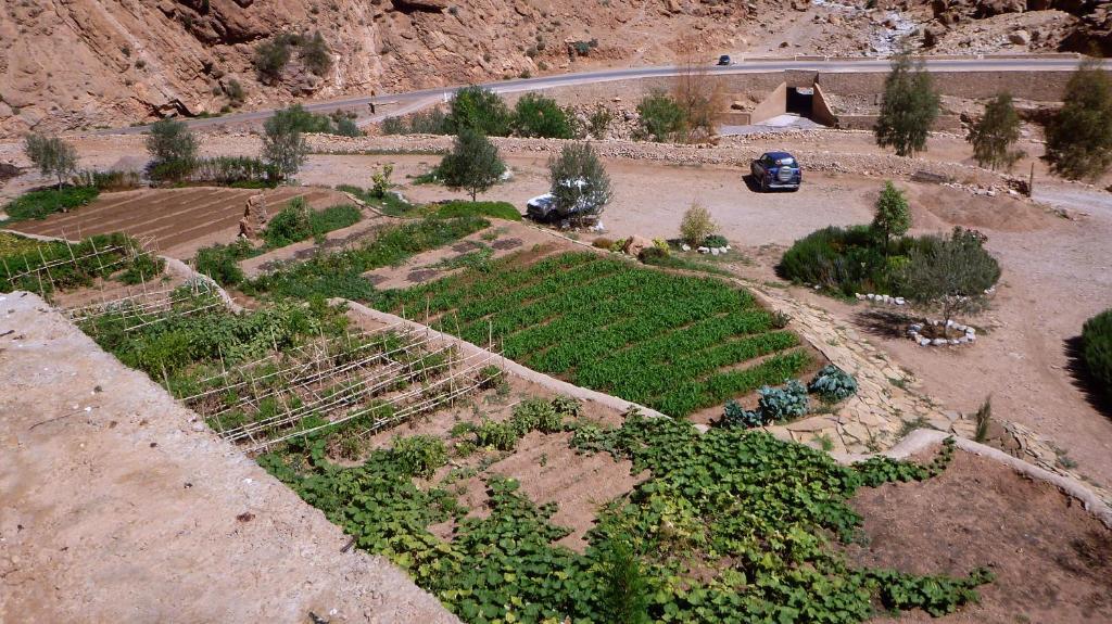 Auberge Le Festival Todra Gorge Aït Baha エクステリア 写真