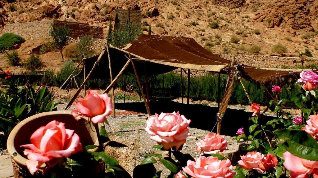 Auberge Le Festival Todra Gorge Aït Baha エクステリア 写真